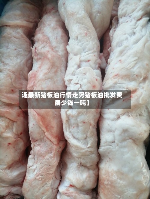 近来【最新猪板油行情走势猪板油批发费用多少钱一吨】