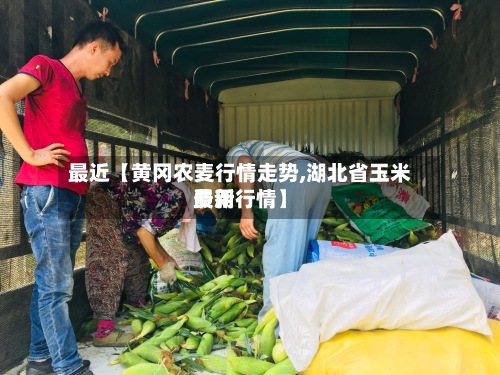 最近【黄冈农麦行情走势,湖北省玉米费用
最新行情】-第2张图片