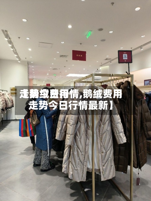 【鹅绒费用走势今日行情,鹅绒费用走势今日行情最新】