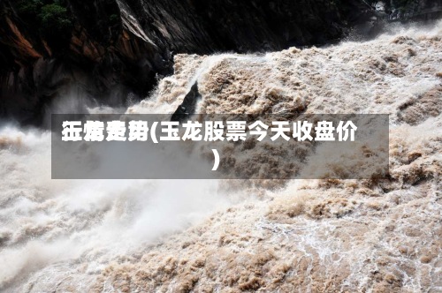 玉龙费用行情走势(玉龙股票今天收盘价)