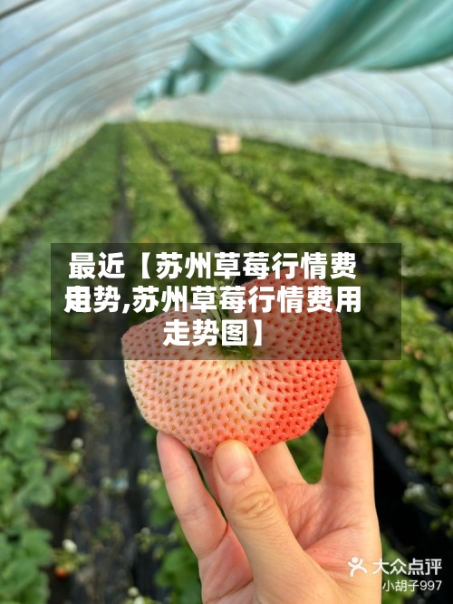 最近【苏州草莓行情费用
走势,苏州草莓行情费用
走势图】