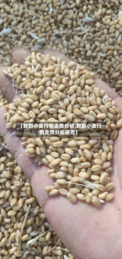 【新野小麦行情走势分析,新野小麦行情走势分析报告】-第2张图片