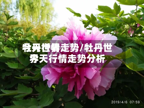 牡丹世界今天行情走势/牡丹世界今天行情走势分析