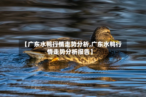 【广东水鸭行情走势分析,广东水鸭行情走势分析报告】