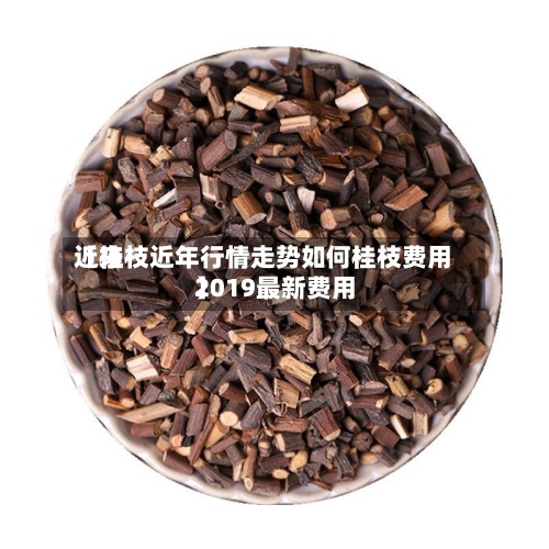 近来
【桂枝近年行情走势如何桂枝费用
2019最新费用
】-第2张图片