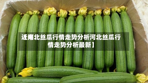 近来【河北丝瓜行情走势分析河北丝瓜行情走势分析最新】