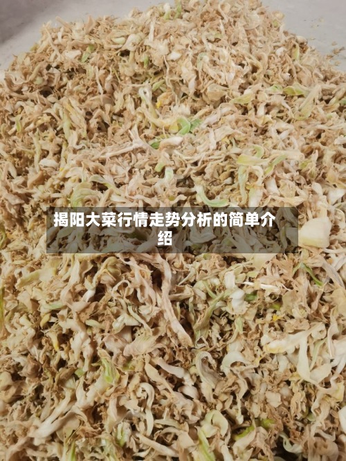 揭阳大菜行情走势分析的简单介绍