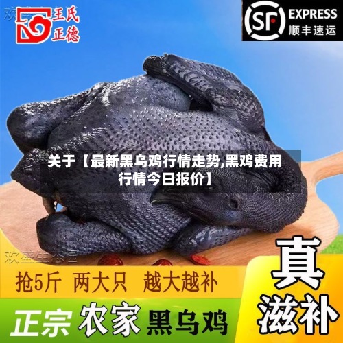 关于【最新黑乌鸡行情走势,黑鸡费用
行情今日报价】-第3张图片