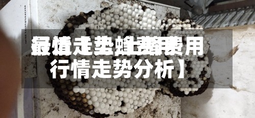 最近【土蜂费用
行情走势,土蜂费用
行情走势分析】-第3张图片