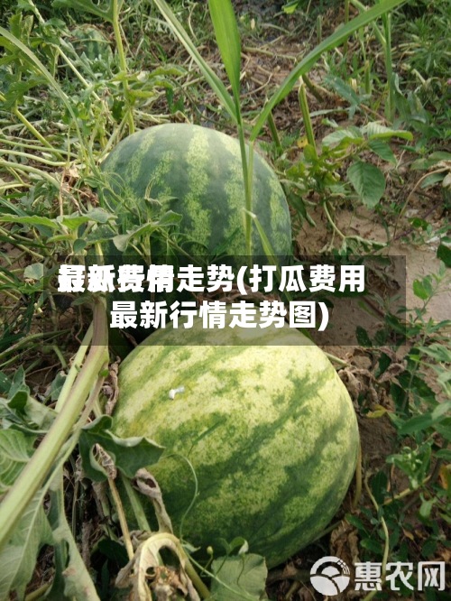 打瓜费用
最新行情走势(打瓜费用
最新行情走势图)-第3张图片