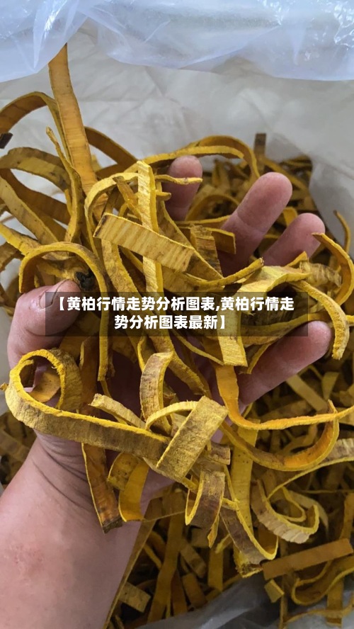 【黄柏行情走势分析图表,黄柏行情走势分析图表最新】-第2张图片