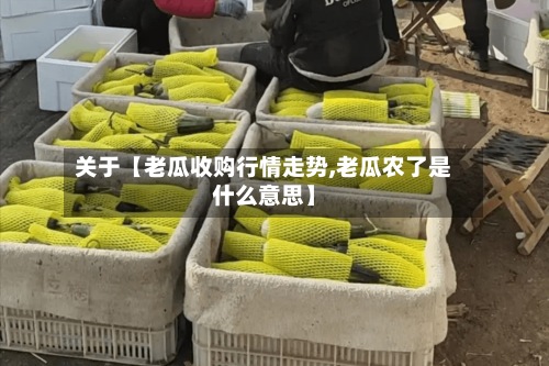 关于【老瓜收购行情走势,老瓜农了是什么意思】-第3张图片