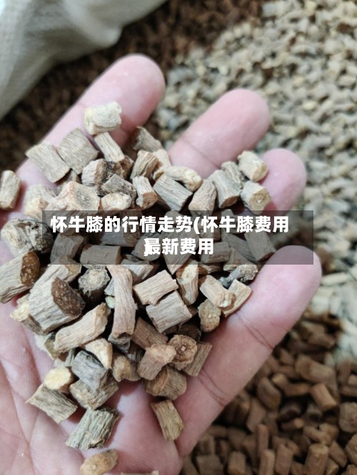 怀牛膝的行情走势(怀牛膝费用最新费用)