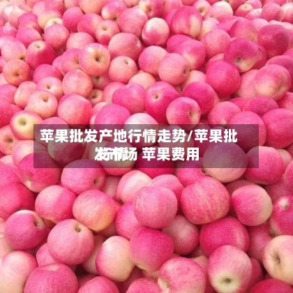 苹果批发产地行情走势/苹果批发市场 苹果费用 行情