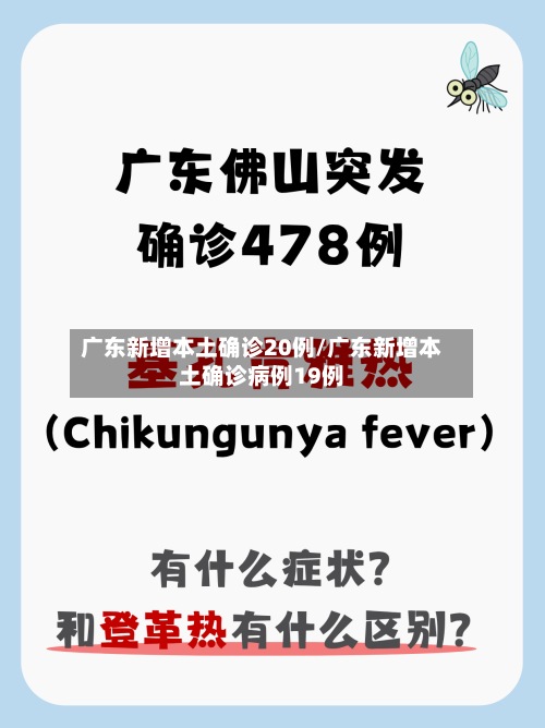 广东新增本土确诊20例/广东新增本土确诊病例19例-第3张图片