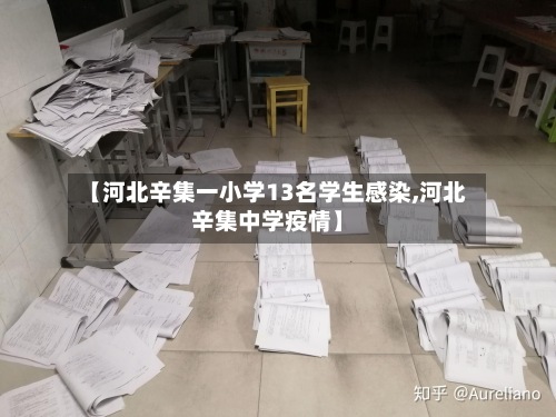 【河北辛集一小学13名学生感染,河北辛集中学疫情】