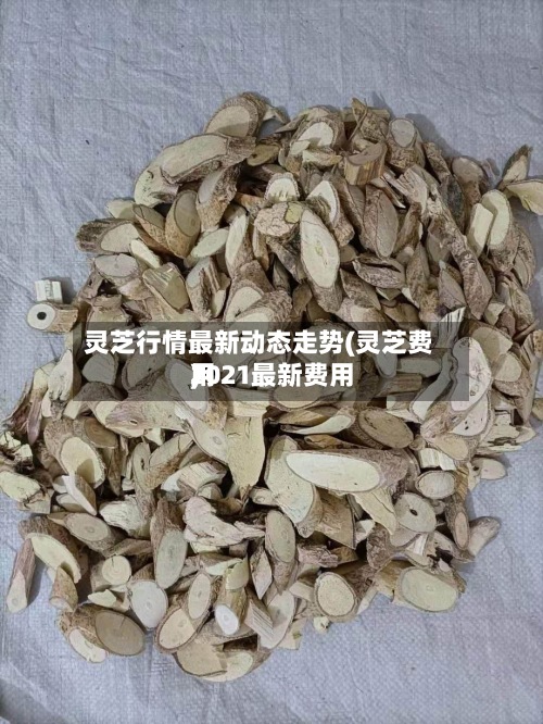灵芝行情最新动态走势(灵芝费用2021最新费用)-第2张图片