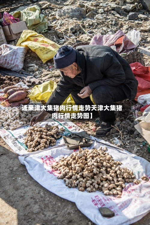 近来【天津大集猪肉行情走势天津大集猪肉行情走势图】-第3张图片