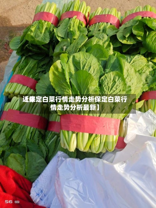近来
【保定白菜行情走势分析保定白菜行情走势分析最新】-第2张图片