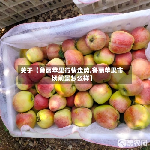 关于【鲁丽苹果行情走势,鲁丽苹果市场前景怎么样】