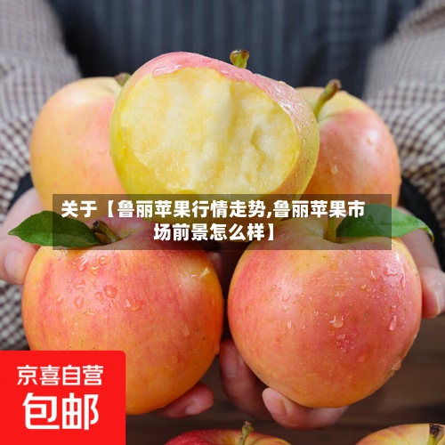 关于【鲁丽苹果行情走势,鲁丽苹果市场前景怎么样】-第2张图片