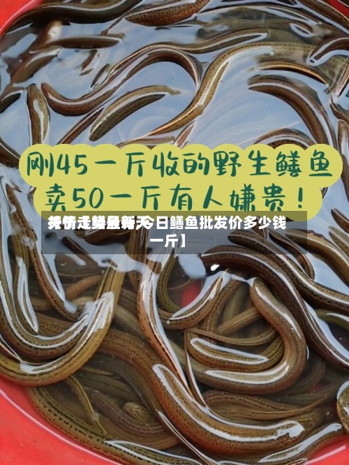 关于【鳝鱼每天
行情走势最新,今日鳝鱼批发价多少钱一斤】-第3张图片