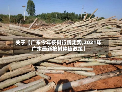 关于【广东今年桉树行情走势,2021年广东最新桉树种植政策】-第2张图片