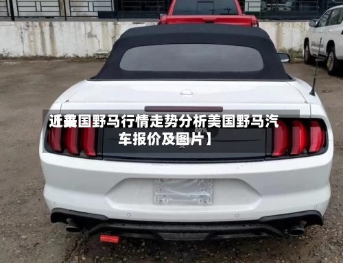 近来
【美国野马行情走势分析美国野马汽车报价及图片】-第2张图片