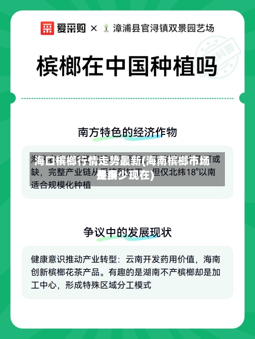海口槟榔行情走势最新(海南槟榔市场费用是多少现在)