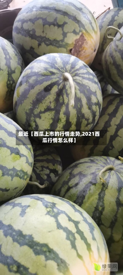 最近【西瓜上市的行情走势,2021西瓜行情怎么样】-第3张图片