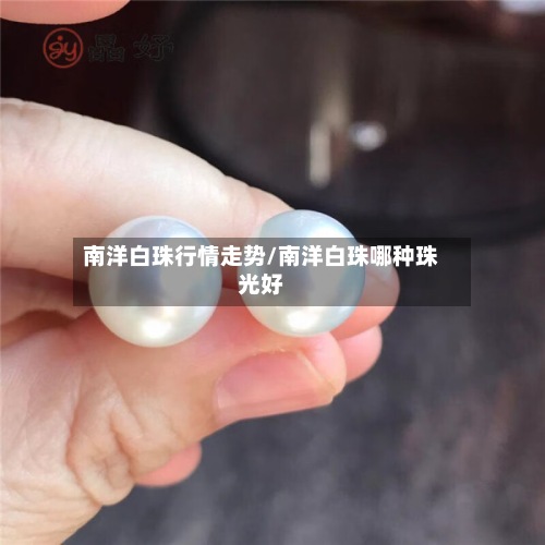 南洋白珠行情走势/南洋白珠哪种珠光好-第3张图片