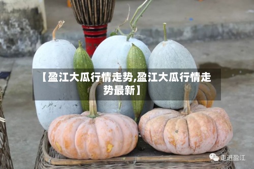 【盈江大瓜行情走势,盈江大瓜行情走势最新】-第2张图片