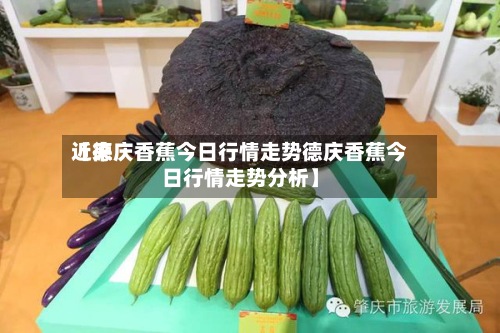 近来
【德庆香蕉今日行情走势德庆香蕉今日行情走势分析】