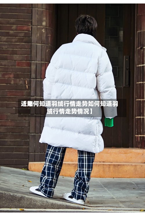 近来【如何知道羽绒行情走势如何知道羽绒行情走势情况】