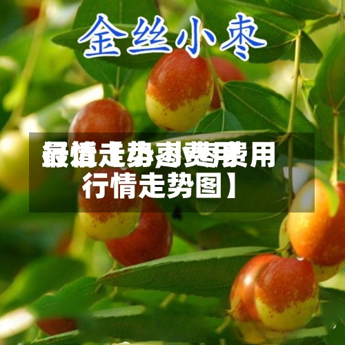 最近【小枣费用
行情走势,小枣费用
行情走势图】