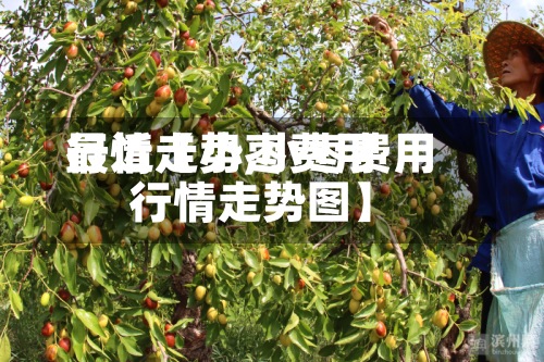 最近【小枣费用
行情走势,小枣费用
行情走势图】-第3张图片