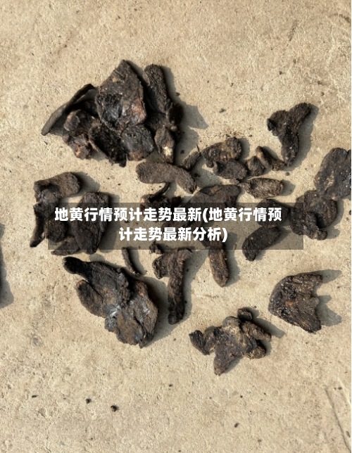 地黄行情预计走势最新(地黄行情预计走势最新分析)-第2张图片