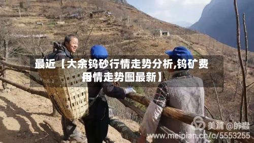 最近【大余钨砂行情走势分析,钨矿费用行情走势图最新】-第3张图片