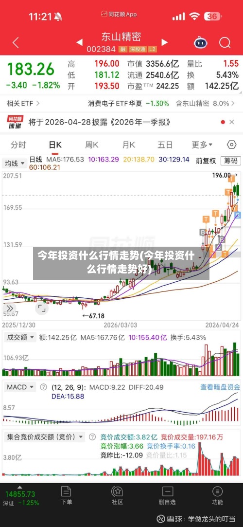 今年投资什么行情走势(今年投资什么行情走势好)