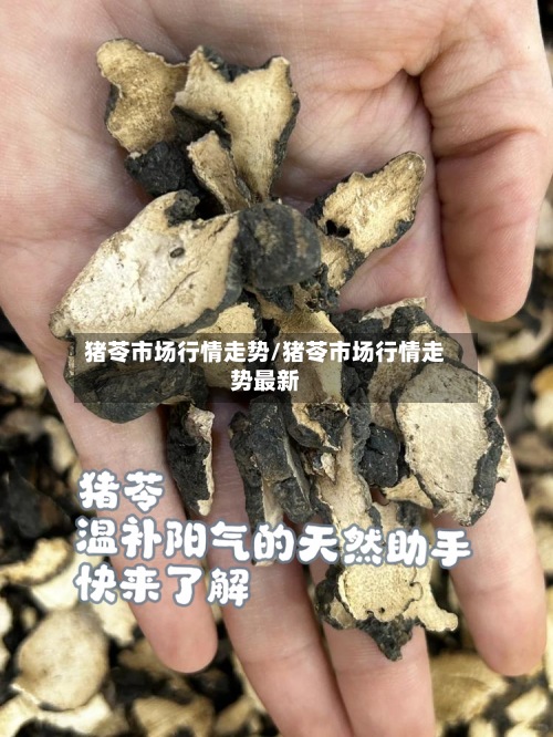猪苓市场行情走势/猪苓市场行情走势最新
