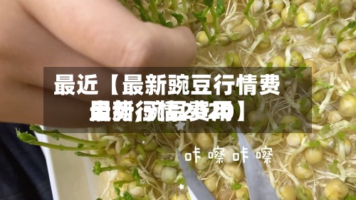 最近【最新豌豆行情费用走势,豌豆费用最新行情2020】
