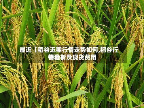 最近【稻谷近期行情走势如何,稻谷行情分析及现货费用平稳】