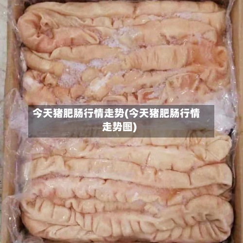 今天猪肥肠行情走势(今天猪肥肠行情走势图)