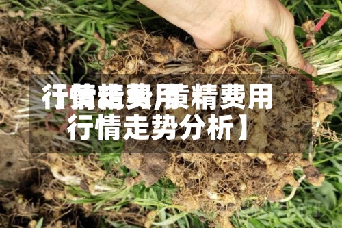 【黄精费用
行情走势,黄精费用
行情走势分析】-第2张图片
