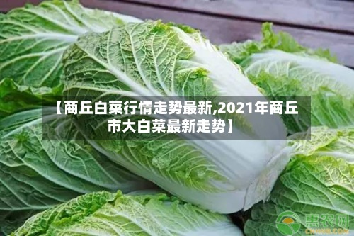 【商丘白菜行情走势最新,2021年商丘市大白菜最新走势】-第2张图片