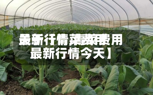 关于【青菜费用
最新行情,青菜费用
最新行情今天】-第2张图片