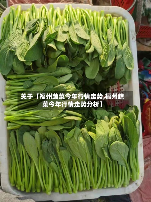 关于【福州蔬菜今年行情走势,福州蔬菜今年行情走势分析】