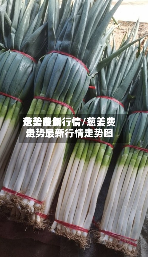 葱姜费用
走势最新行情/葱姜费用
走势最新行情走势图