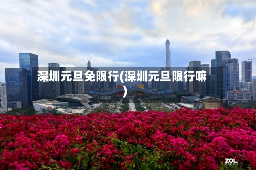 深圳元旦免限行(深圳元旦限行嘛)