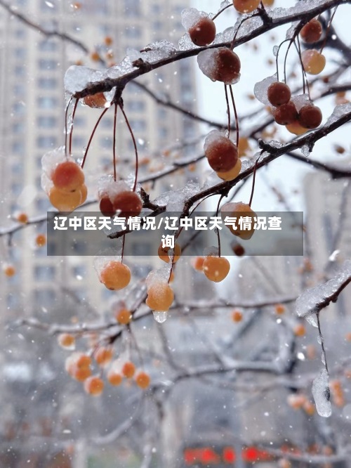 辽中区天气情况/辽中区天气情况查询-第2张图片